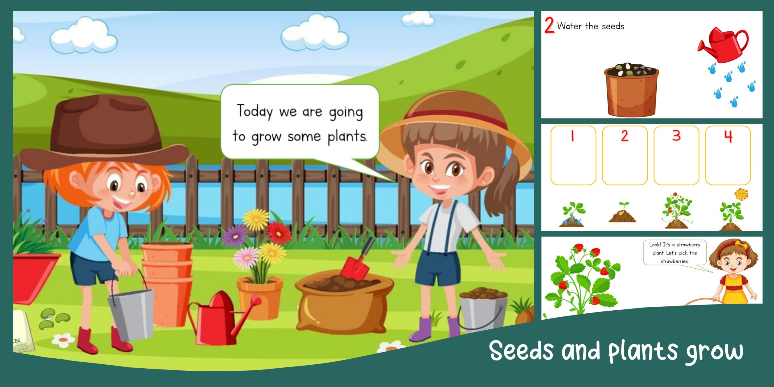 Seeds and plants grow – EC Academy
